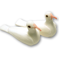Palomas de Gomaespuma A.Wong