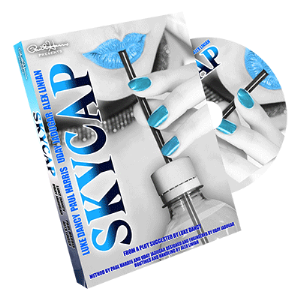 Skycap - Paul Harris, Luke Dancy, Alex Linian y Uday Jadugar